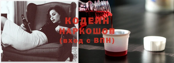 ECSTASY Елизово