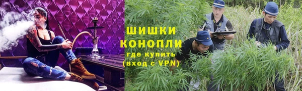 мдпв Дмитриев
