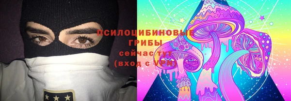 ECSTASY Елизово